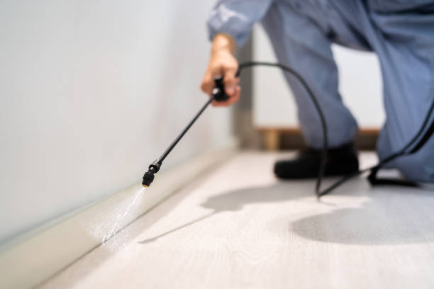 Licensed Mosquito Control service in Oklahoma City, OK - Show Me Pest Control