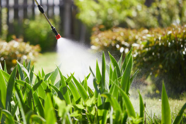 24/7 Emergency Mosquito Control experts in Oklahoma City, OK