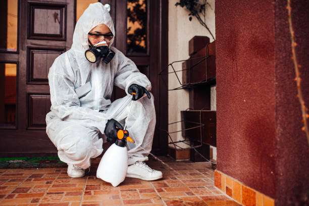 Reliable Mosquito Control contractor in Oklahoma City, OK by Show Me Pest Control